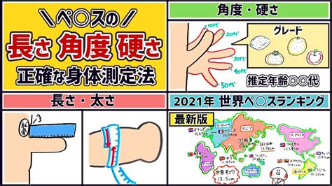 勃起長さ平均|日本人の勃起時チン長は12cm弱！研究基づいたペニ。